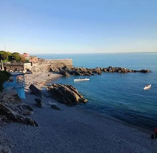 Apartment Puffy House